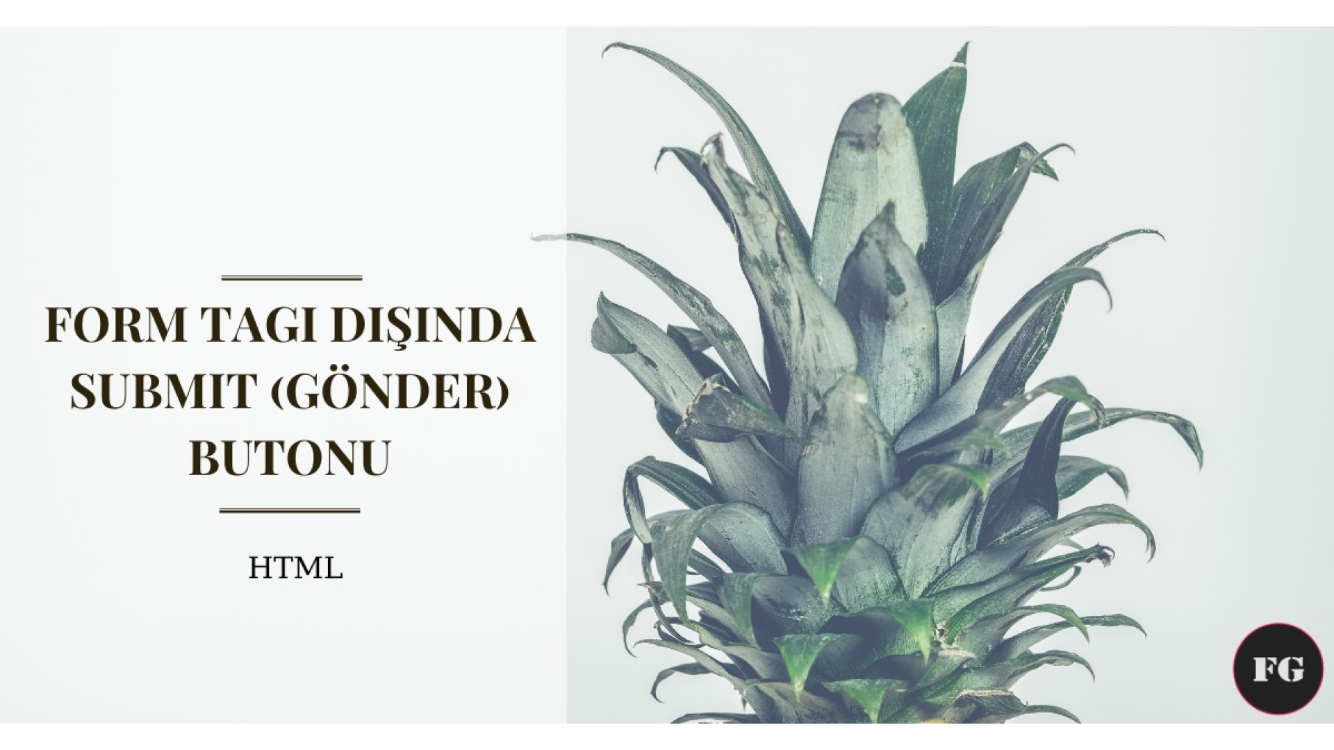 HTML - Form Tagı Dışında Submit (Gönder) Butonu