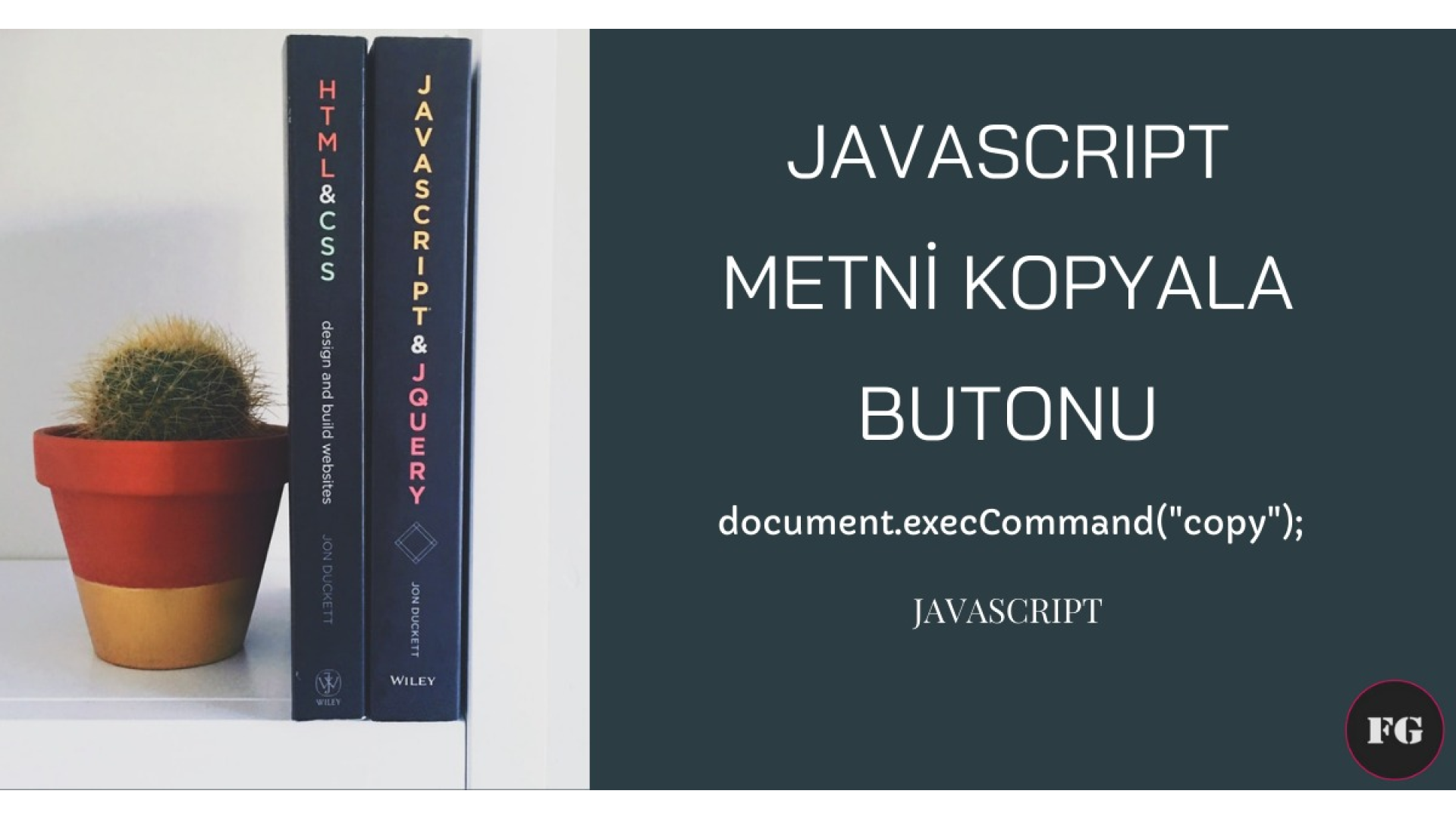 Input Metni Kopyala Butonu